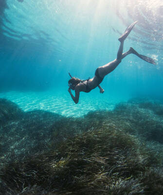 camping-sardaigne-fond-marin-inspi-poi-th